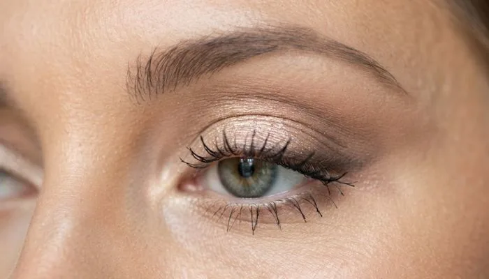 Close-up of neutral and shimmer eyeshadow application on the eyelids with defined eyelashes. Close-up of neutral and shimmer eyeshadow application on the eyelids with defined eyelashes.