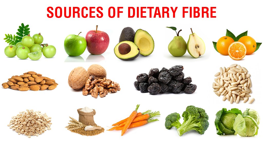 Importance of Dietary Fibre | Steadfast Nutrition